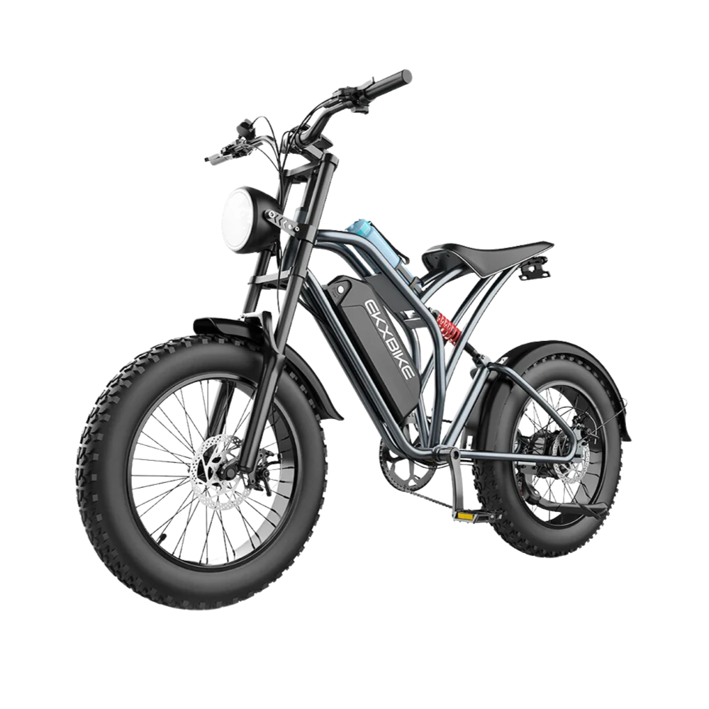 T1 Off-road Electric Bike 1000W